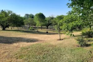 Family B&B Lo de Amelia. La Paz, Entre Ríos