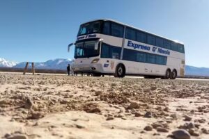 Fenix viajes y turismo