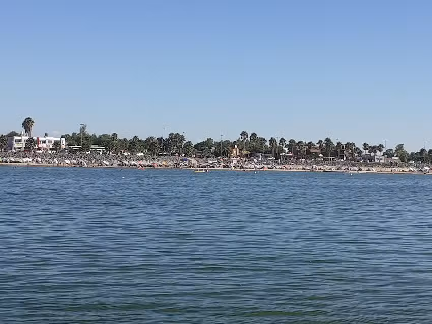 Flamenco Excursiones