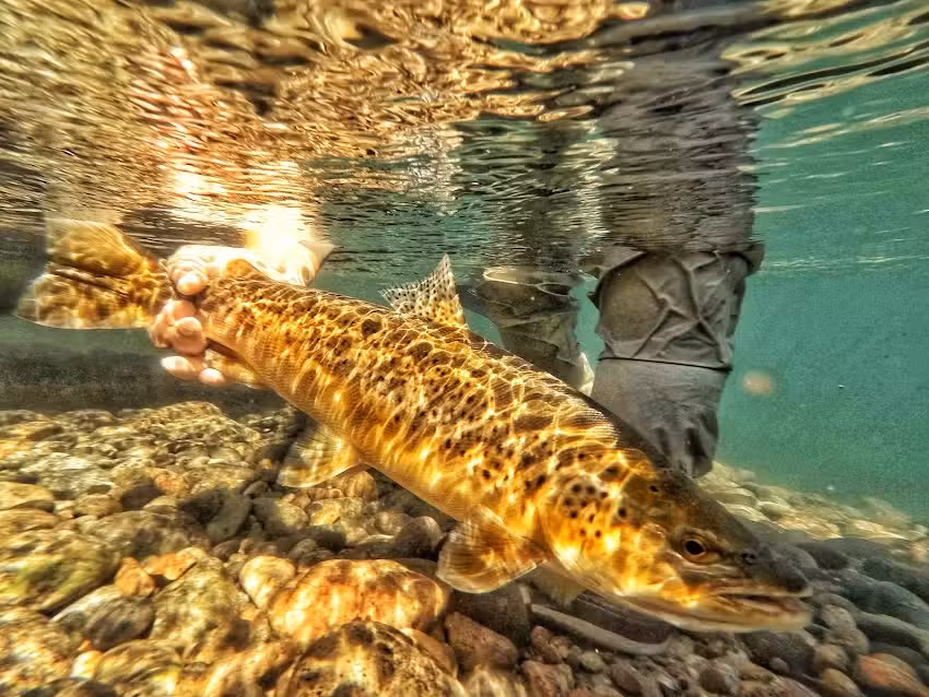 Flotada de Pesca, FLY FISHING. ( JAVIER VERA FISHING TRIP ) GUIAS..