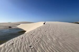 Four Points | Agencia de turismo.