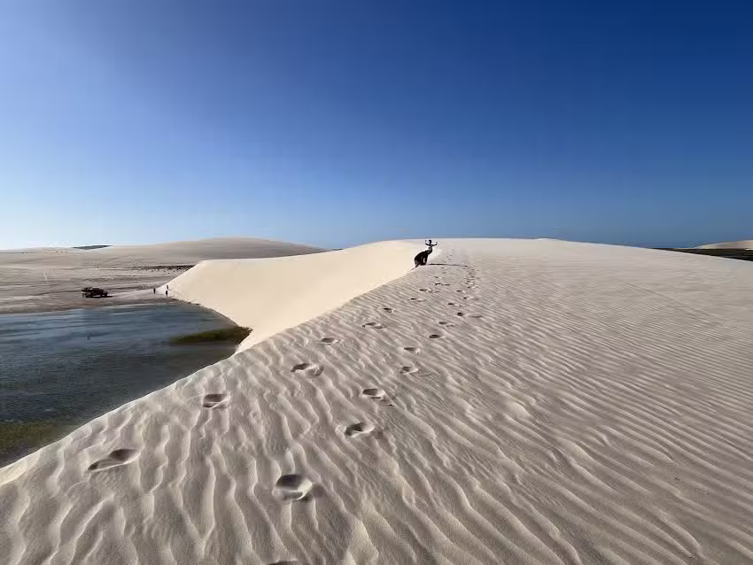 Four Points | Agencia de turismo.