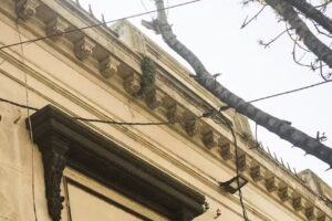 Free Tours Mar del Plata