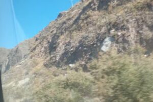 friendly travel mendoza