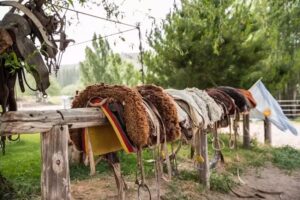 Galopes Del Sur (cabalgatas guiadas)