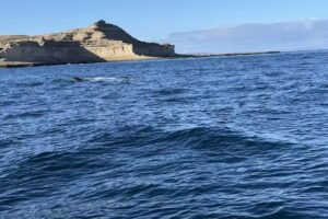 Get In Travel Market