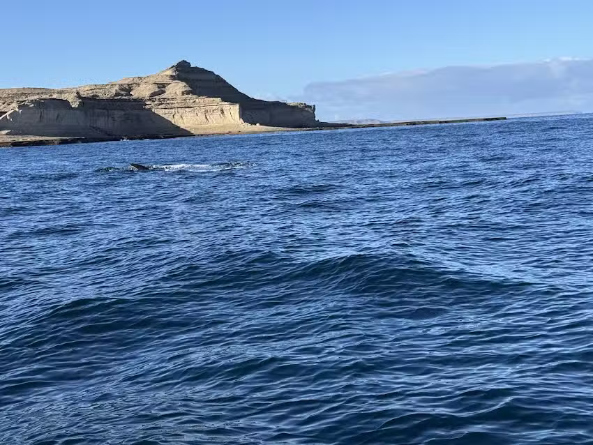 Get In Travel Market