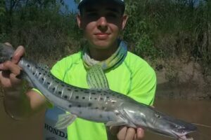 Golden Fishing Excursiones