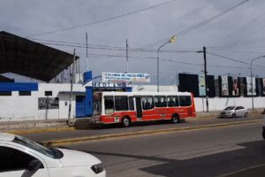 Gracetour Transporte Escolar