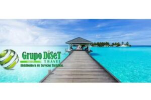 Grupo Diset