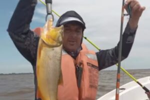 Guia de Pesca En Berisso Los Mellizos Dumbo Fishing Team