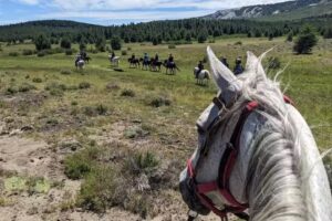 Guru Travel Patagonia