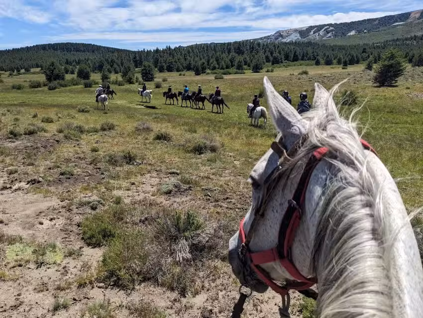 Guru Travel Patagonia