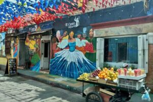 HA Viajes San Martin de los Andes