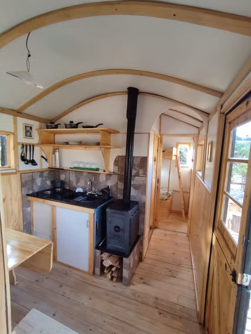 Horses and Huskies Patagonia