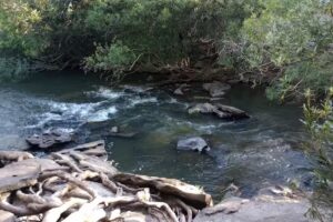 Huella Litoral Viajes