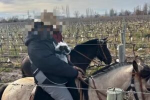 Huellatinta – Cabalgatas en Mendoza