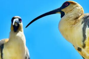 HUENEY Viajes y Travesías