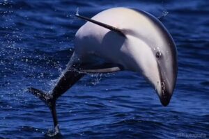 Hydro Sport Puerto Madryn