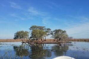 Ibera Guazu Excursiones
