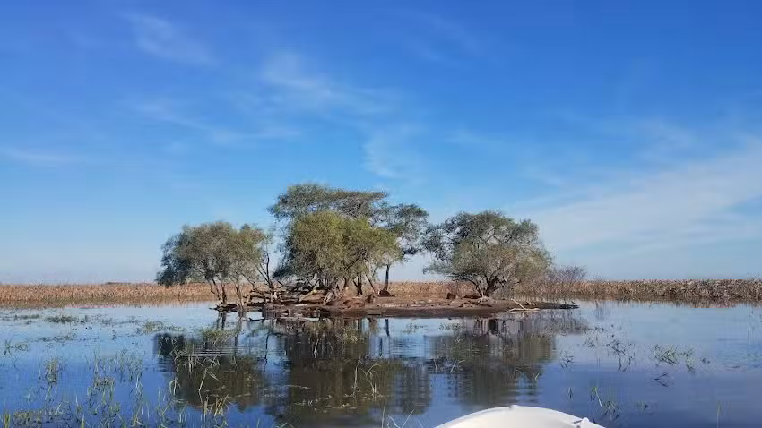 Ibera Guazu Excursiones