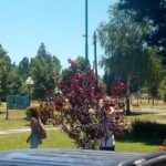 Informacion Turistica