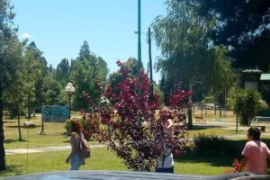 Informacion Turistica