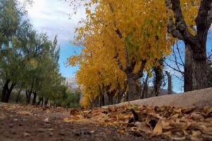 Información Turística