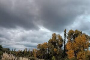 Información Turística Taninga