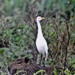 JACKELINE VIAJES Y TURISMO