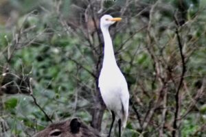 JACKELINE VIAJES Y TURISMO