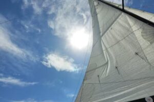 Jarilla Servicios Turisticos