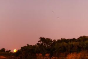 Jasy Guazú, Paseo Nocturno.