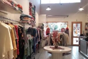 La Araucana Viajes E. V. y T.