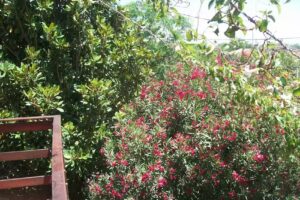 La casa de Lidia y Alberto