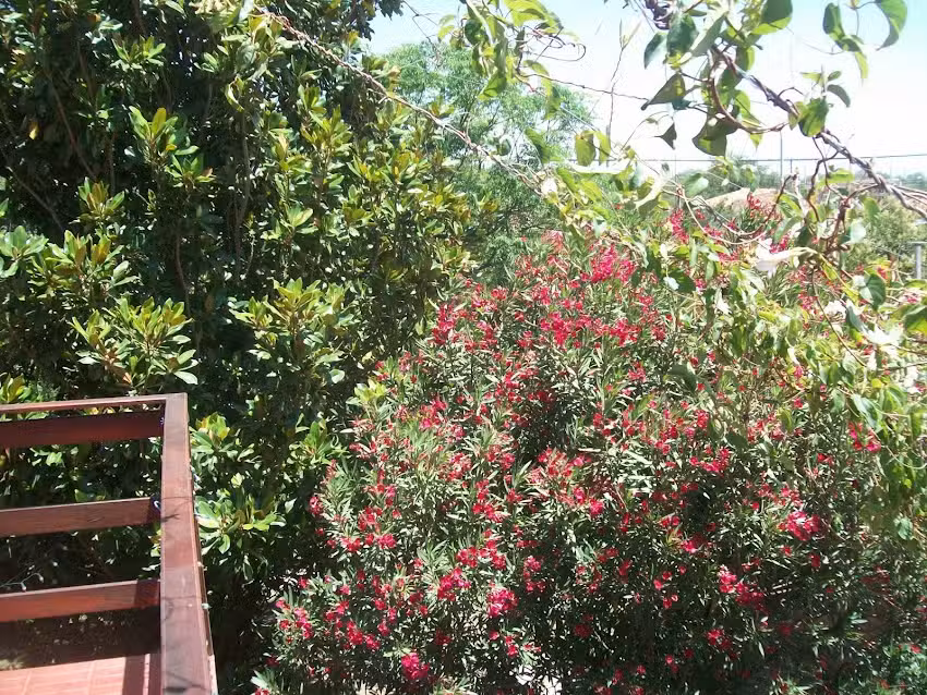 La casa de Lidia y Alberto