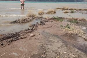 La casa de Potre Alojamiento