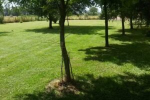 La Casa Quinta de Mercedes