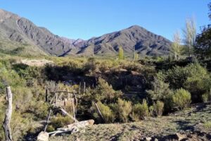 La Crucecita Horseback Riding | Cabalgatas