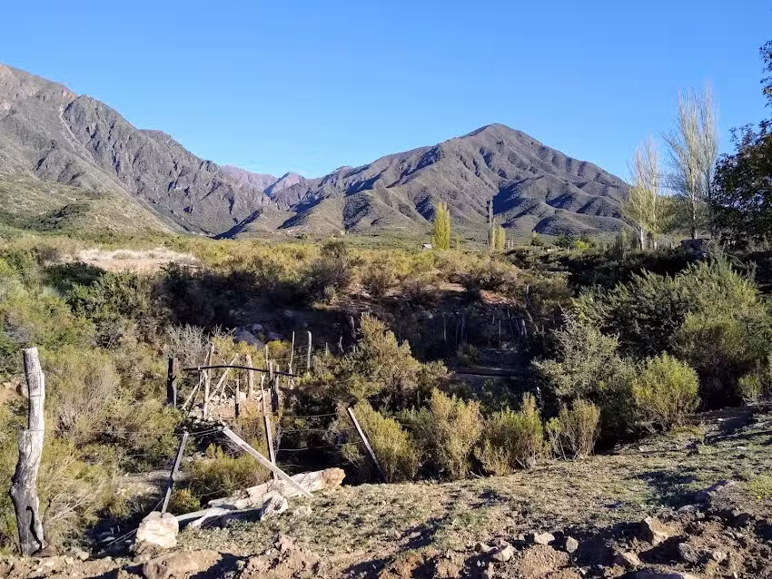 La Crucecita Horseback Riding | Cabalgatas