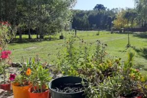 La Juanitas Cabanas La Caleta