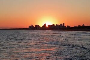 La Pandora Casa Containers