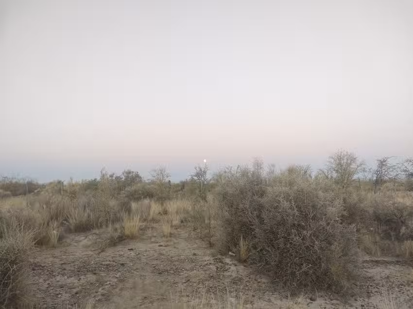 Lago Tromen Agencia De Viajes Y Turismo