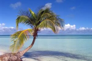 Lance Tours – Empresa de Viajes y Turismo