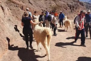 Larauyen Travel – Viajes y Turismo