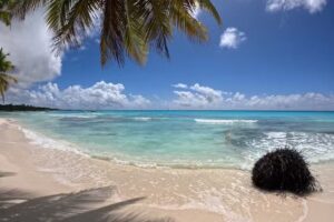 LIFE TRIP – Agencia de viajes