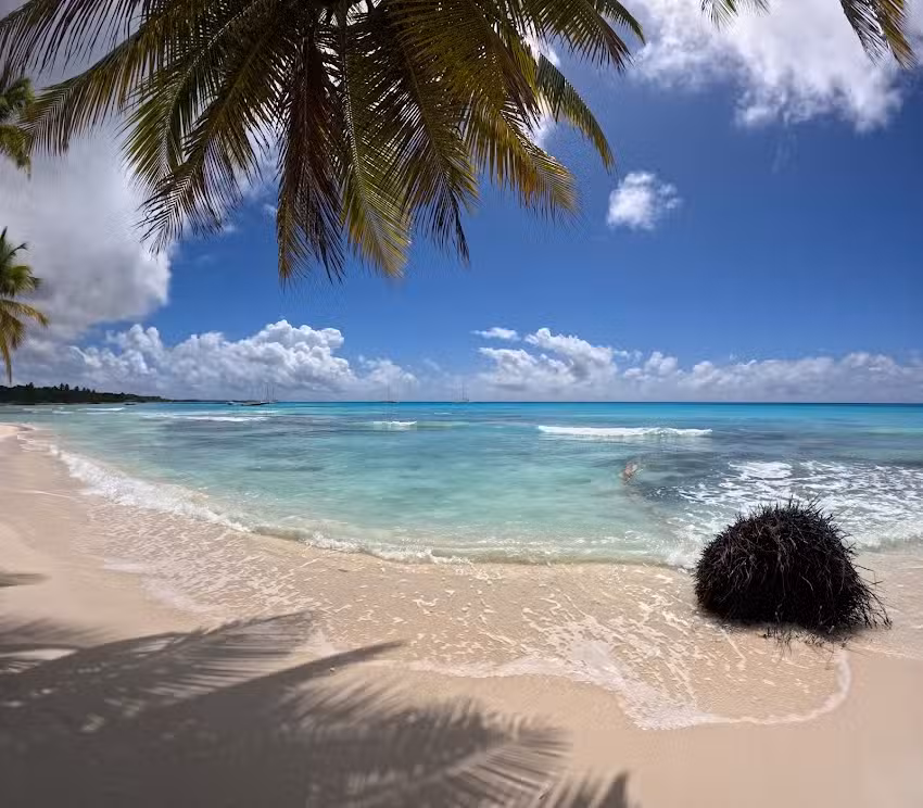 LIFE TRIP – Agencia de viajes