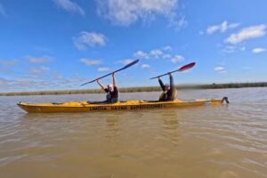 Limosa Kayak Expediciones