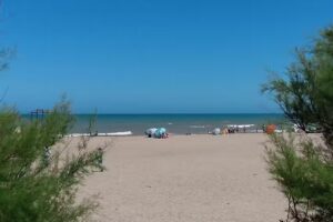 Lo de Patto Chapadmalal