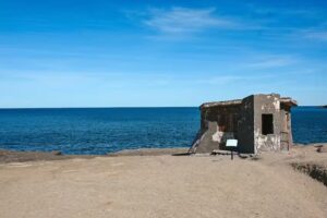 Lobo Larsen Tour and Travel